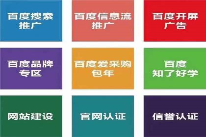 SEM主管经验：案例分析及启示